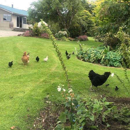 Southland Organic Farmstay 因弗卡吉尔 外观 照片