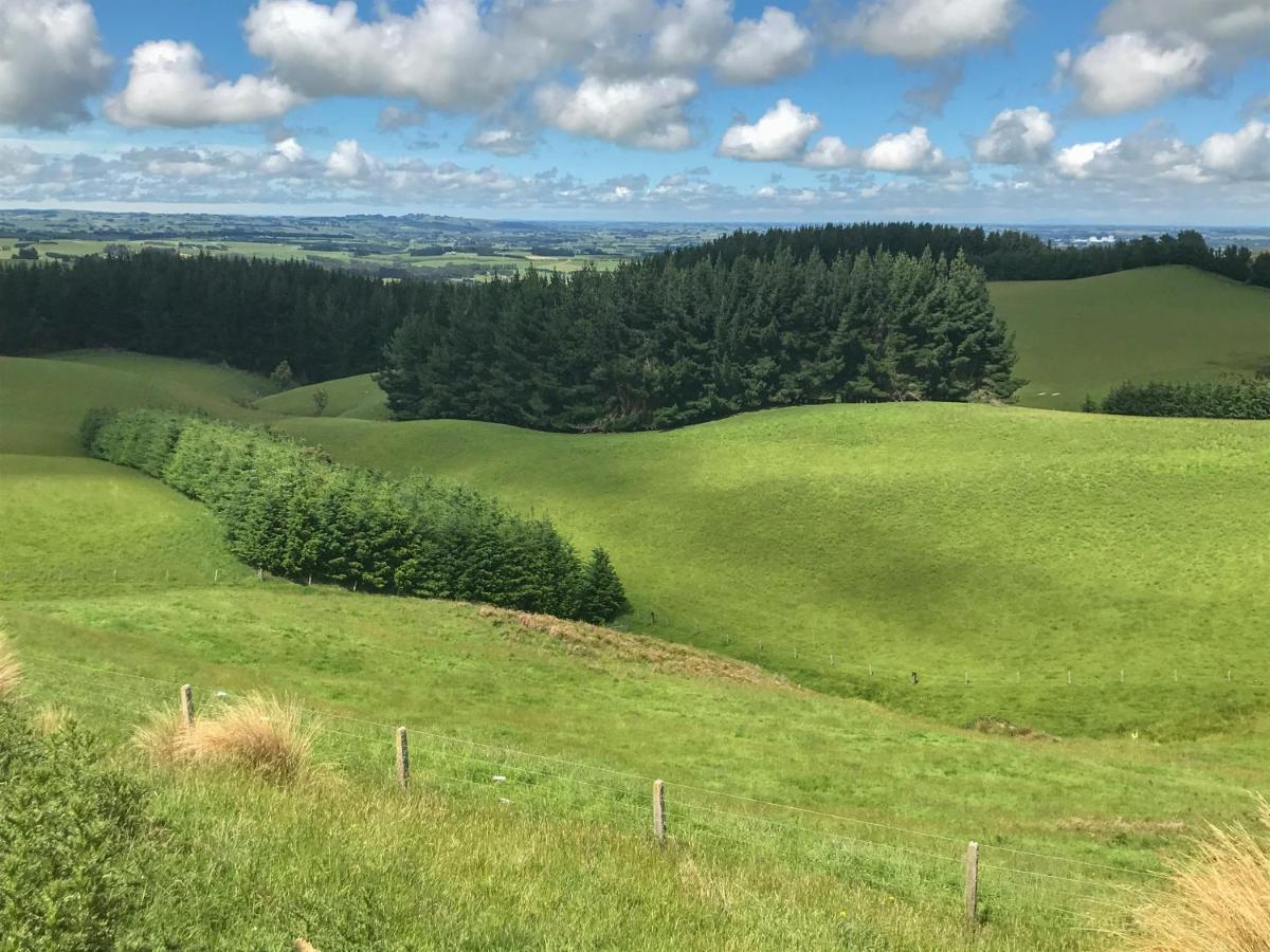 Southland Organic Farmstay 因弗卡吉尔 外观 照片