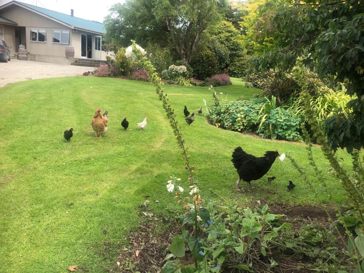 Southland Organic Farmstay 因弗卡吉尔 外观 照片